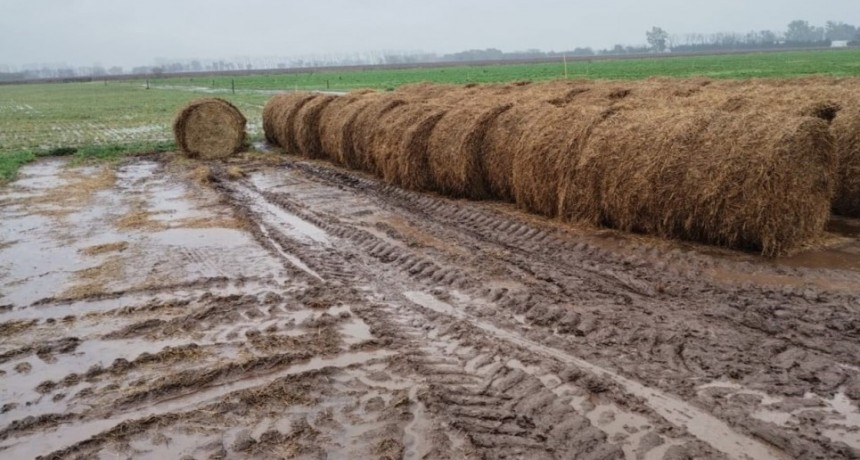 Las lluvias de enero y febrero tampoco estar&aacute;n condicionadas por "La Ni&ntilde;a"