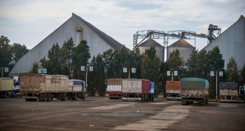 Camiones a puerto: 2025 tuvo el mayor ingreso de los &uacute;ltimos tres a&ntilde;os