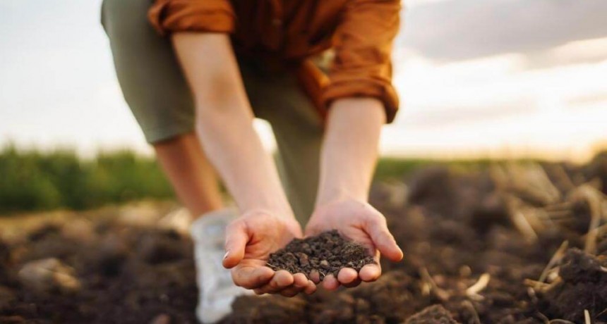Mercados de carbono: impulsan un cambio que podr&iacute;a atraer inversiones millonarias a la Argentina