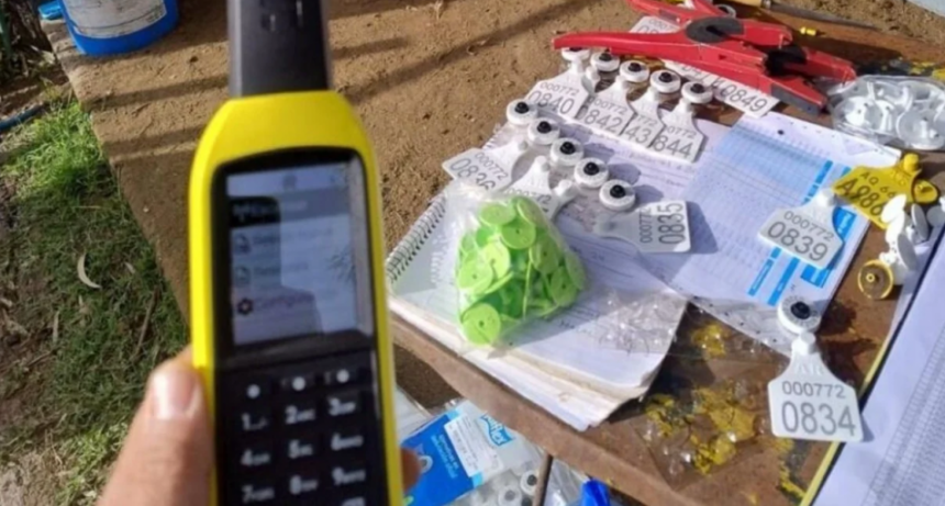 La caravana electr&oacute;nica ya es una realidad: una herramienta clave para la trazabilidad ganadera