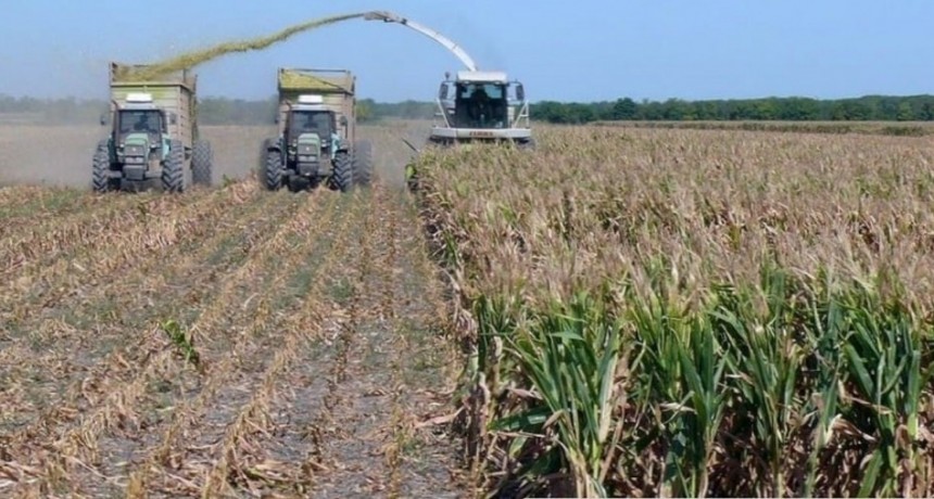 El clima volvi&oacute; a condicionar las tareas agr&iacute;colas en el centro norte santafesino