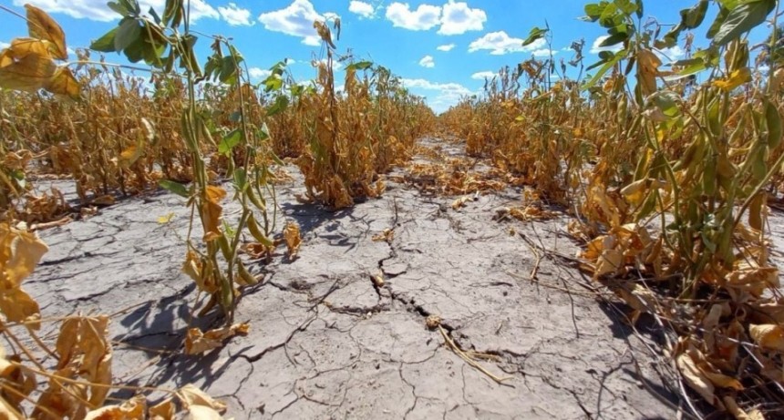 Emergencia agropecuaria: Naci&oacute;n aval&oacute; la pr&oacute;rroga solicitada por Santa Fe por la sequ&iacute;a