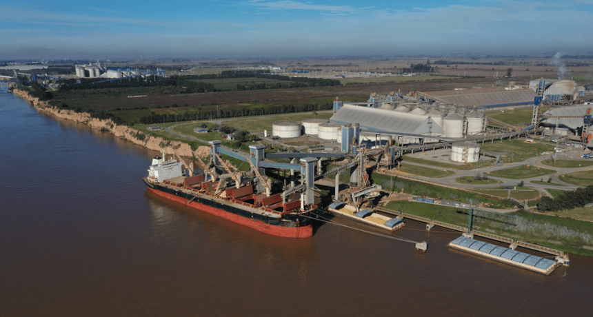 El trigo argentino es un &ldquo;boom&rdquo; global: se multiplican los env&iacute;os a China y pelea mercados hasta en el Mar Negro