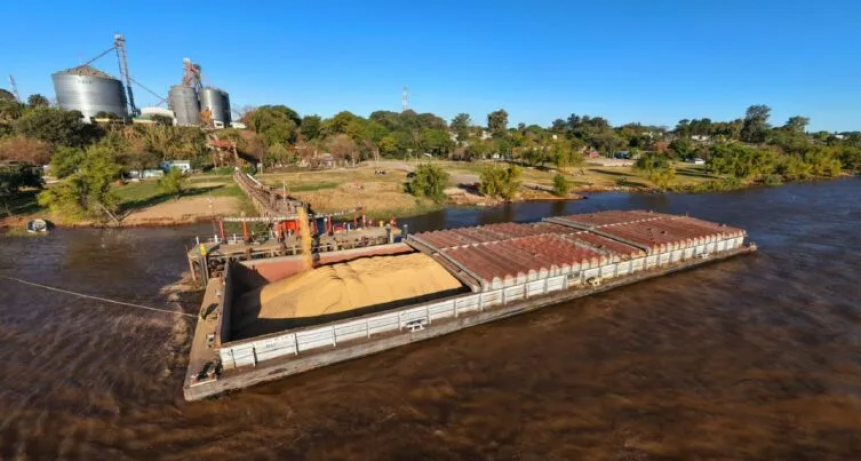 Avanza a buen ritmo la comercializaci&oacute;n de granos entrerrianos