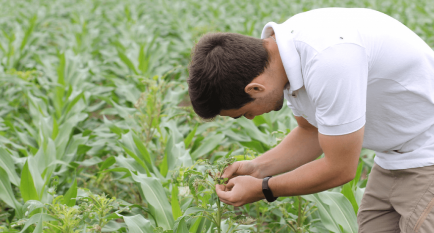 Informe especial: la escasez de agr&oacute;nomos, otra &ldquo;brecha&rdquo; que necesita abordar el agro para crecer