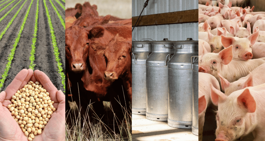 La rentabilidad del campo: en la carrera de los precios, solo la hacienda logr&oacute; ganarle a la inflaci&oacute;n