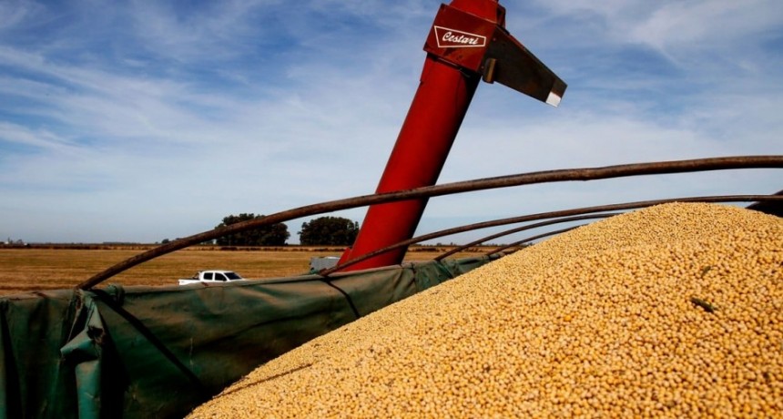 Cosecha 2026: soja y ma&iacute;z, con buen potencial pero la falta de lluvias enciende alertas