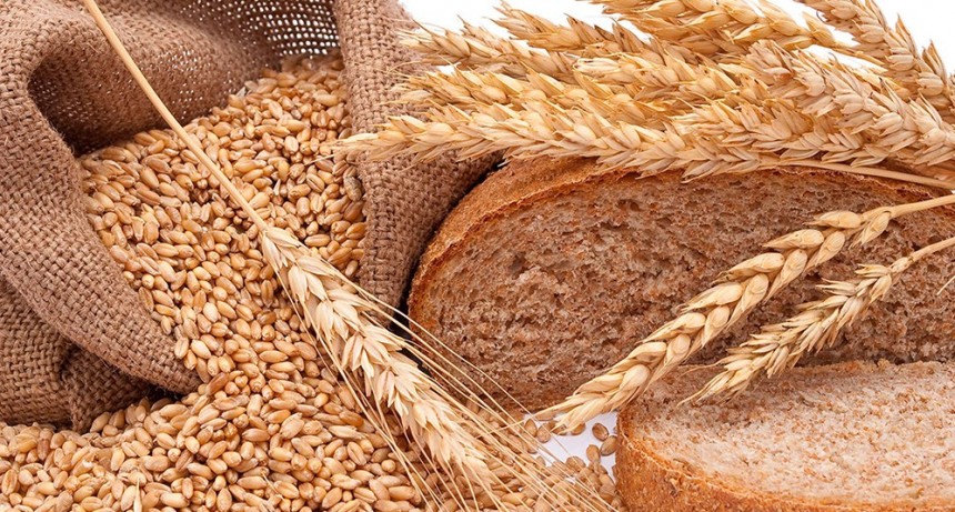 Molinos en alerta: &ldquo;Hay una falta generalizada de oferta de trigo apto para panificaci&oacute;n&rdquo;