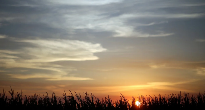 Perspectiva agroclim&aacute;tica: marcado ascenso t&eacute;rmico y precipitaciones insuficientes en gran parte del pa&iacute;s