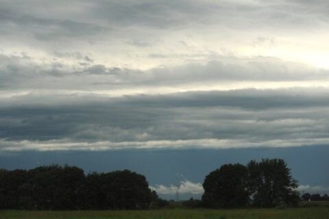 Crónicas de campaña: Las lluvias le cambiaron la cara a la soja