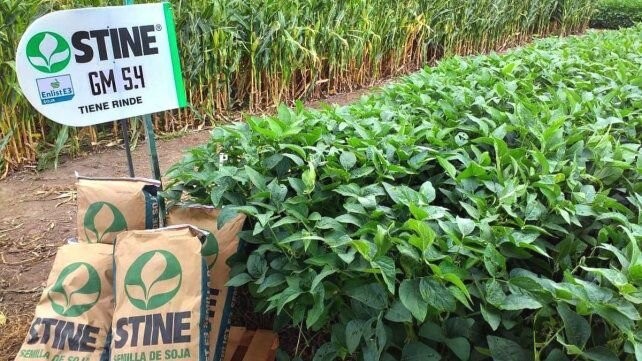 Lanzan un nueva tecnología para soja