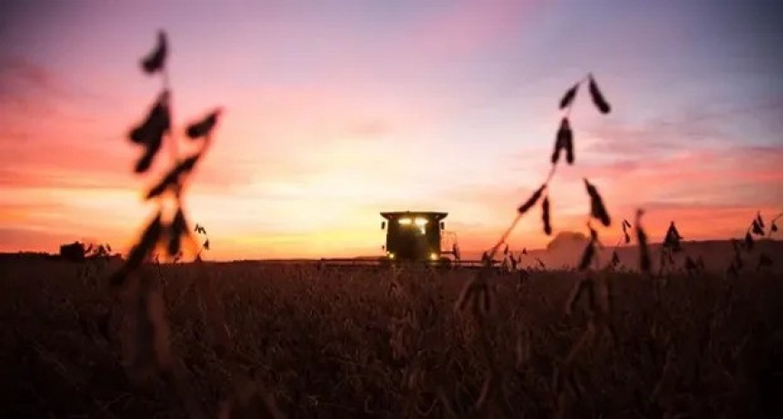 El clima seco en Argentina y la cosecha r&eacute;cord en Brasil influencian el mercado de granos: cu&aacute;nto se pag&oacute; por la soja en Rosario