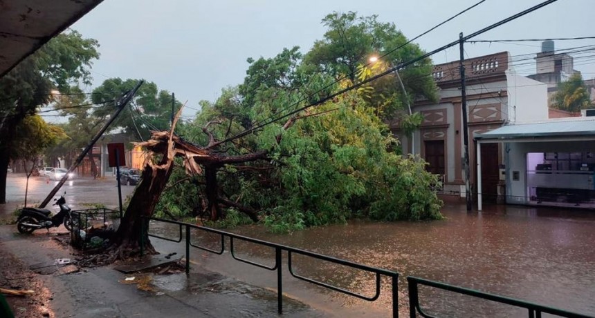 Fotos y videos: la lluvia y el viento generaron destrozos en Santiago del Estero