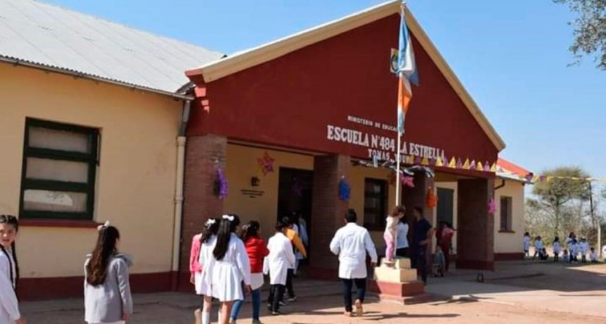 Docentes y alumnos fueron atacados por un enjambre de abejas en Tomas Young