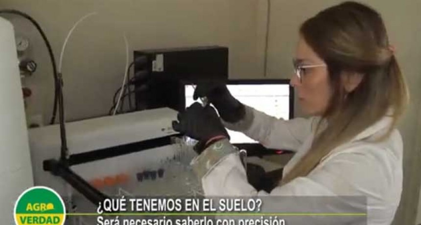 Después de 3 Niñas consecutivas, ¿Cómo quedará el suelo en el campo?