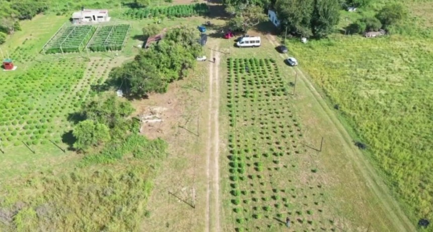 Caso "Cachiporri": se present&oacute; ante la Justicia el titular del campo allanado en Arroyo Leyes
