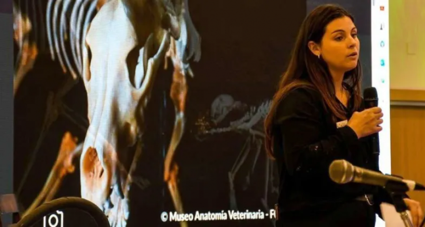  El campo no seduce a ingresantes universitarios en Santa Fe