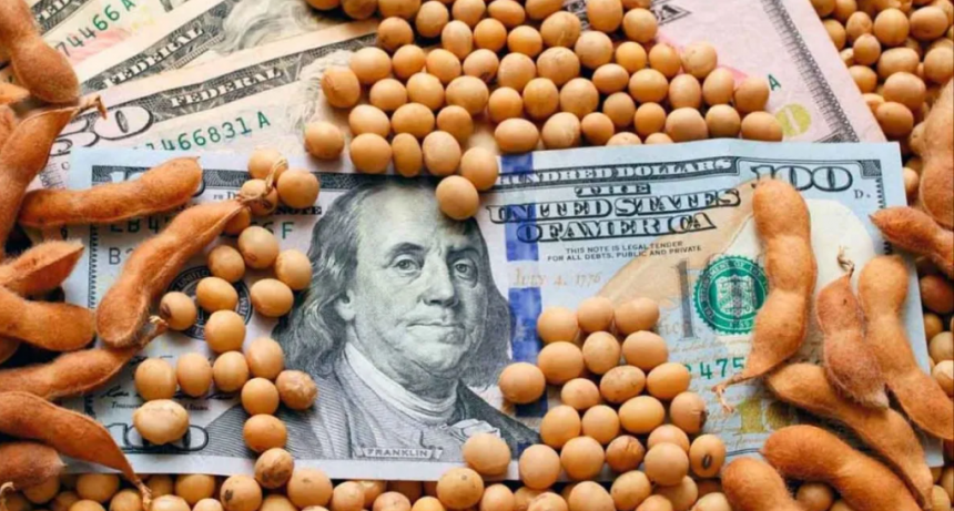 Por qué las exportaciones crecieron más en cantidad de toneladas que en dólares