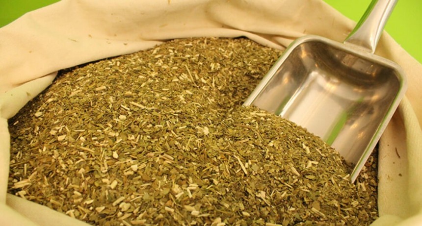 Casi 1.000 millones de kilos: de la mano de las exportaciones, la yerba mate hizo un récord en 2024