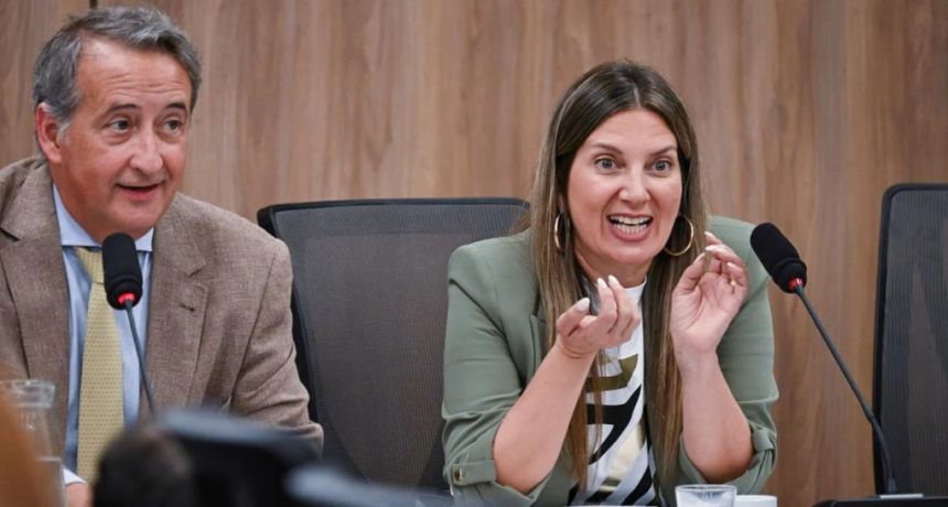 Ficha Limpia quedó lista para la votación en Diputados, tras acuerdo entre oficialismo y aliados