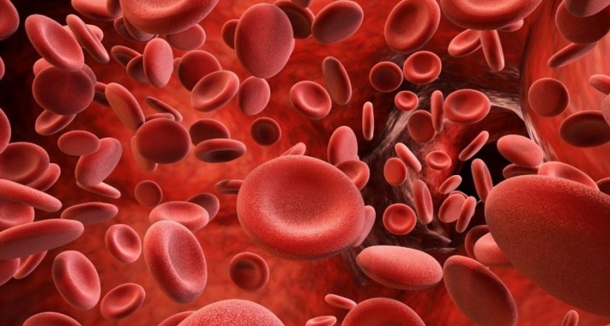 ¿Tu tipo de sangre afecta cuánto envejeces? Esto dice la ciencia 