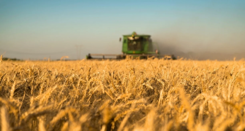 La agroindustria incrementó las liquidaciones de divisas