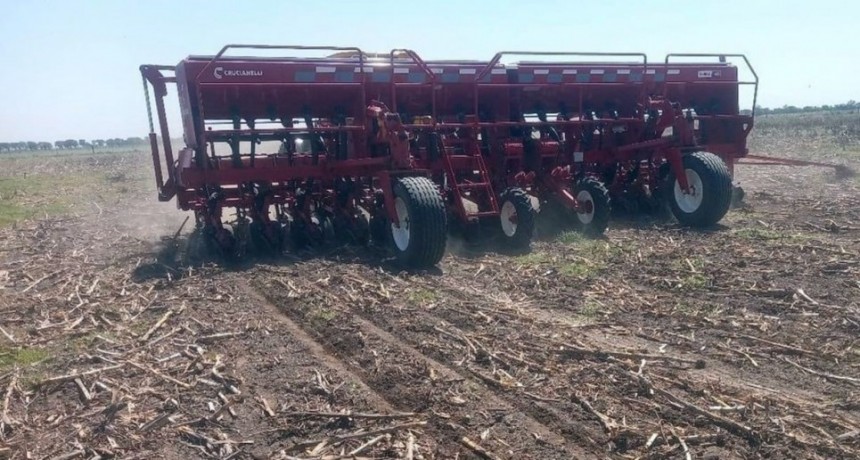 Ausencia de lluvias, ambientes secos y elevada temperatura frenaron la siembra de sorgo y maíz
