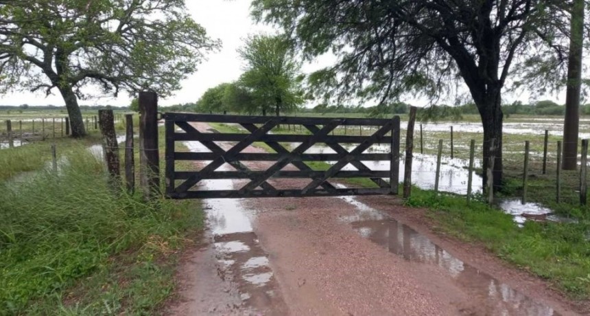 Lluvias en la región núcleo: cuáles fueron las localidades más favorecidas 
