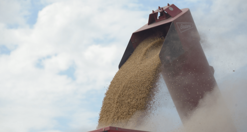 No alcanza: la soja con menos retenciones aún no logra traccionar las ventas de los productores