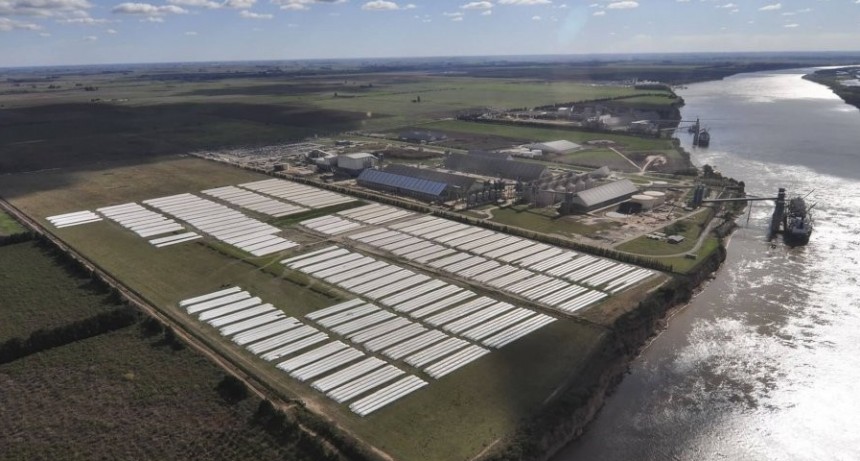 Con la soja y el maíz a la cabeza, las exportaciones del agro iniciaron el año con crecimiento
