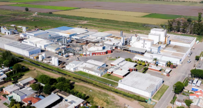 Importante inversión: una de las mayores cooperativas lácteas pone decenas de paneles solares y acelera un cambio de paradigma