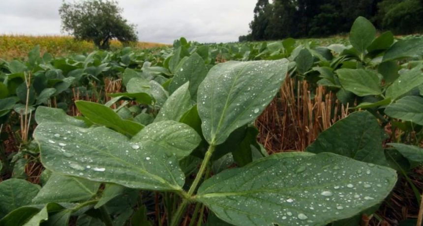 Se vienen las lluvias: ¿cuántos milímetros le tocarían a cada región de Santa Fe?