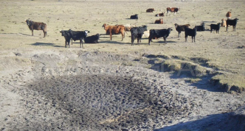 Santa Fe amplía la emergencia agropecuaria por sequía: qué zonas se suman y cuáles son los beneficios
