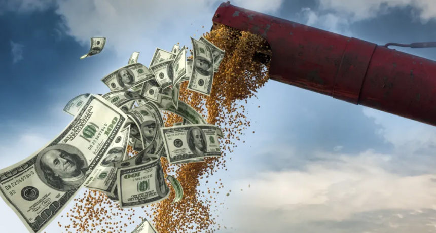 Las exportaciones del Agro crecieron 25% en 2024 y 6 de cada 10 dólares en Argentina los generó el campo