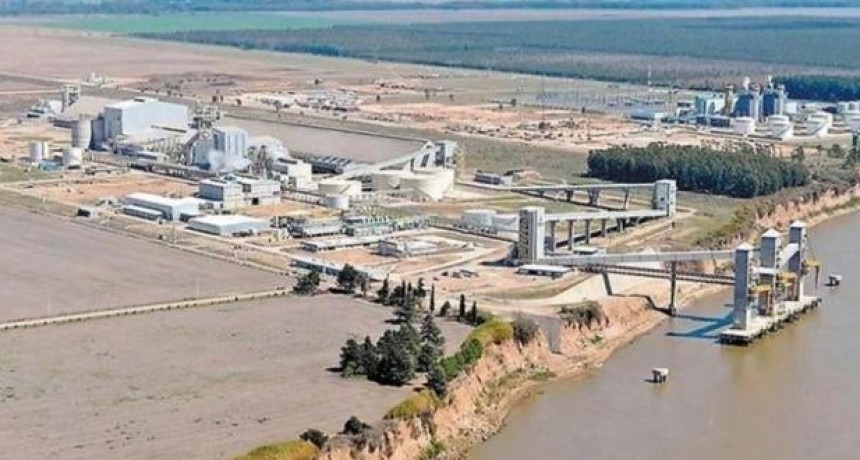 Aceiteros advierten que paralizarán todas las plantas del país si Vicentín no paga salarios