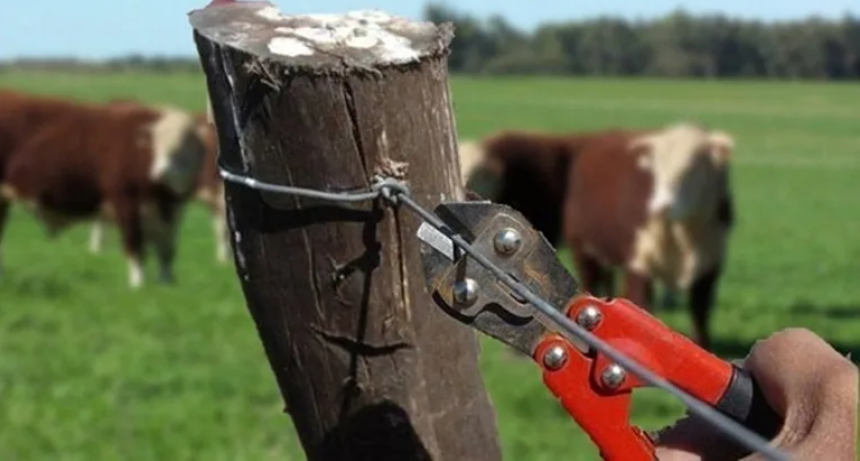 Inseguridad rural: CRA habilit&oacute; un sistema nacional de denuncias virtuales y an&oacute;nimas