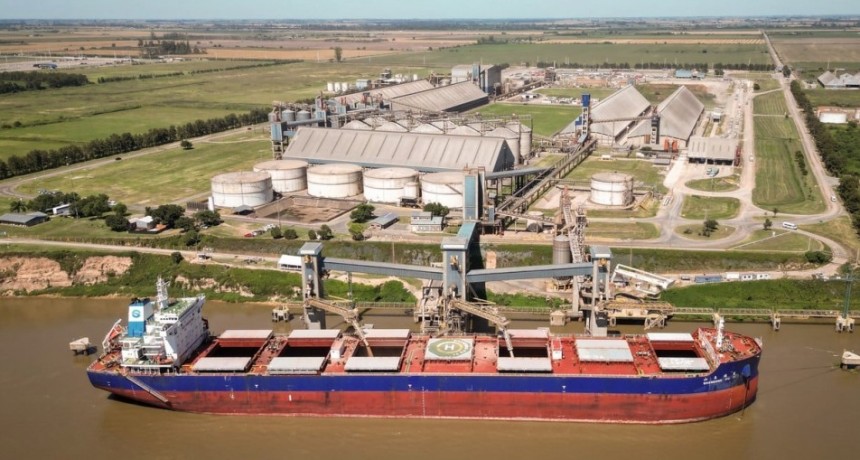 Ma&iacute;z y trigo recuperan atractivo mientras la soja queda atada al clima