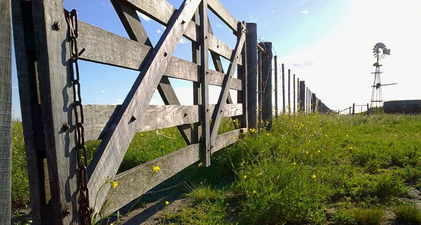 Mercado inmobiliario rural: una demanda intensa con una oferta escasa pone presi&oacute;n sobre los precios