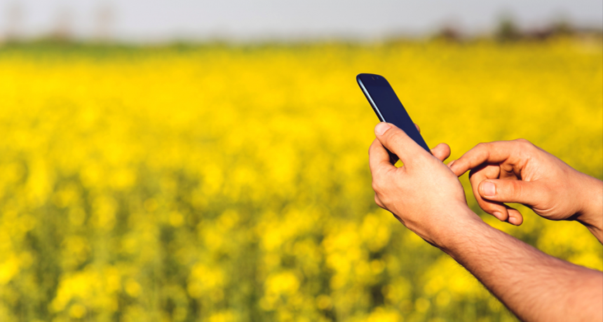 Anuario 2025: las 10 notas m&aacute;s le&iacute;das del a&ntilde;o en Infocampo