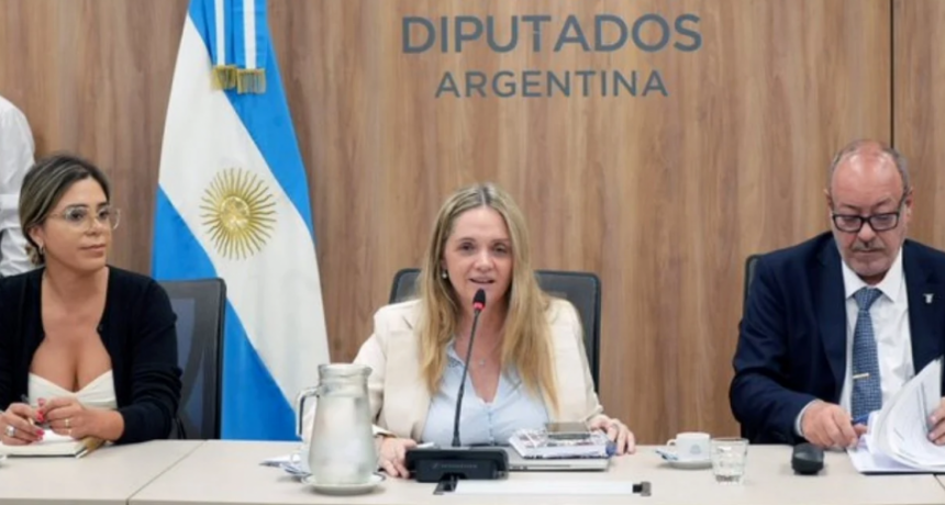 Agenda compleja y mayor&iacute;a oficialista: Diputados eligi&oacute; autoridades de comisiones