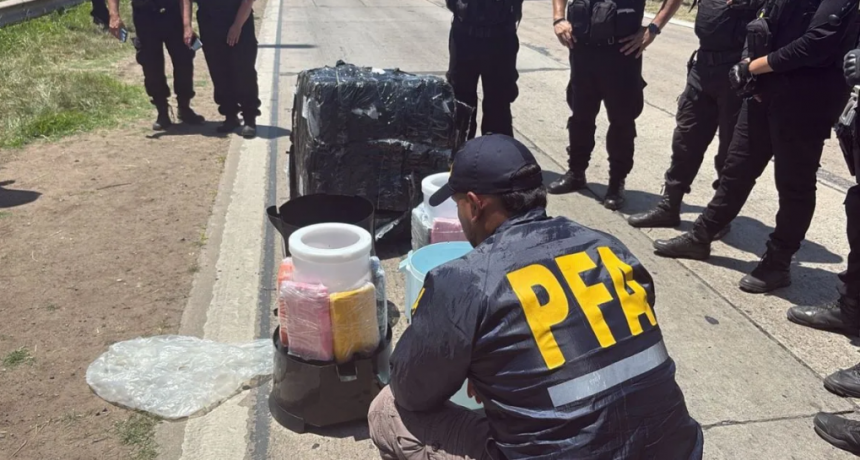 La faena bovina no corta la racha negativa: arranc&oacute; 2026 con una nueva ca&iacute;da