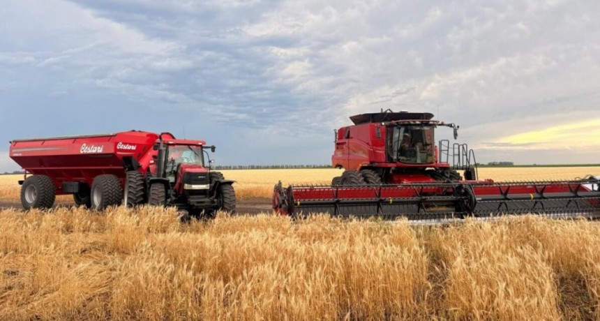Fue tan buena la campa&ntilde;a de trigo, que sigue sumando hect&aacute;reas y toneladas un mes despu&eacute;s de finalizada