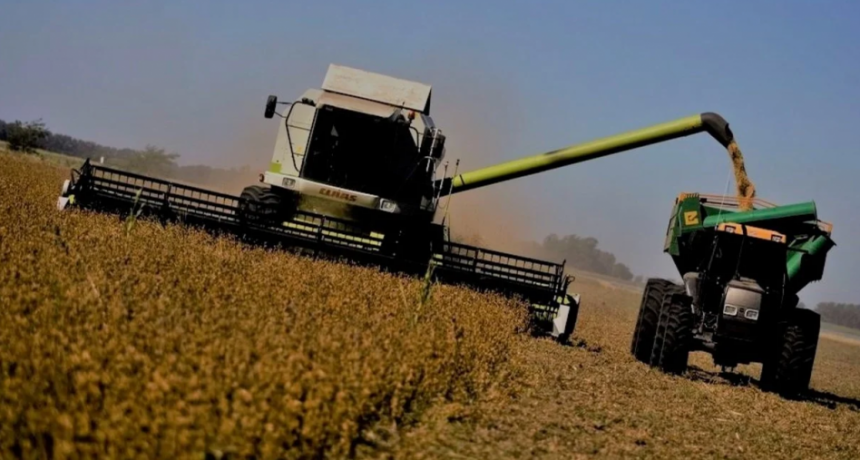 Argentina presenta costos comparativos altos en varios rubros agroindustriales