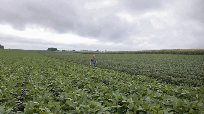 Desde CARSFE aseguraron que la provincia no se benificiará con la suba a las retenciones