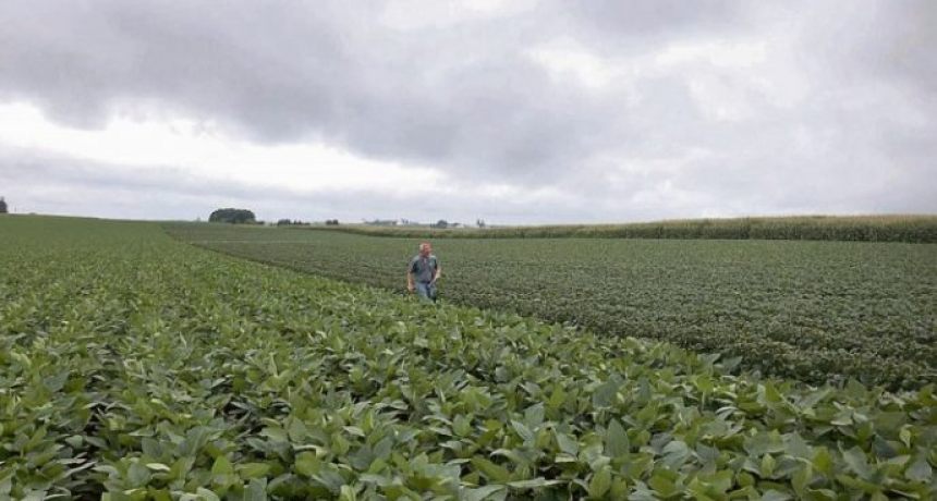 Desde CARSFE aseguraron que la provincia no se benificiar&aacute; con la suba a las retenciones