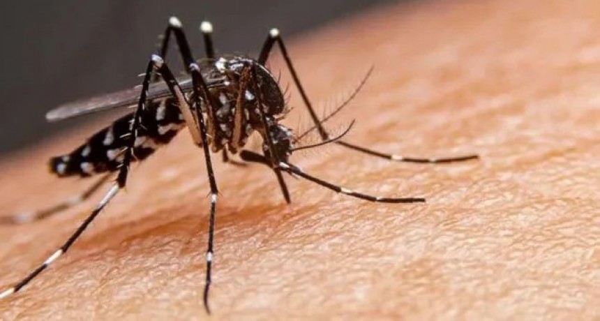 Dengue: son 14 las localidades de la provincia de Santa Fe que ya tienen circulaci&oacute;n viral