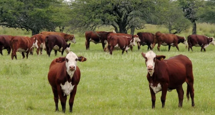  Buscan acreditar la producción agropecuaria libre de riesgo de deforestación
