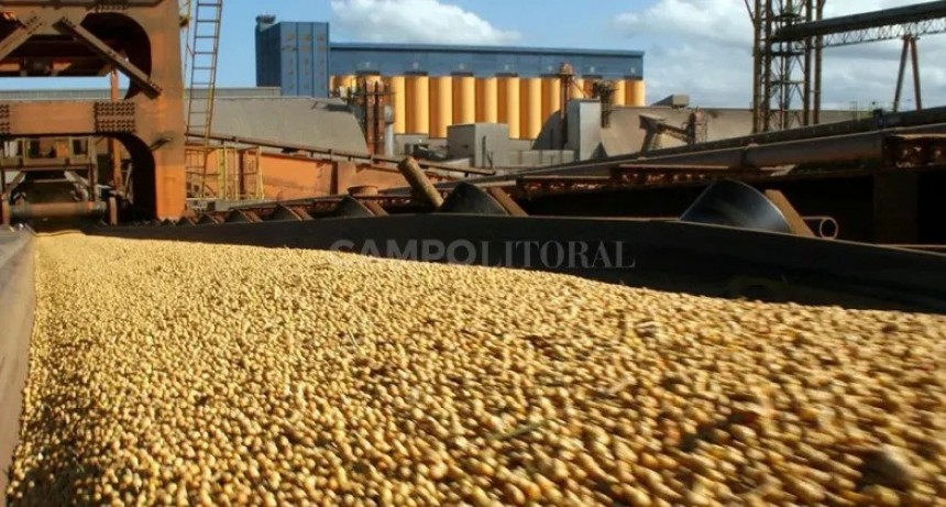 El nivel de crushing de soja sería el más bajo desde el 2000 