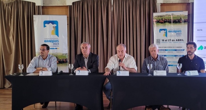 Argentina se prepara para mostrar el avance de su gen&eacute;tica Brangus