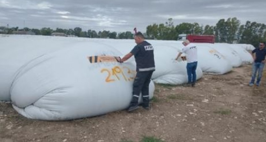 AFIP incautó 270 toneladas de maíz en una planta de acopio